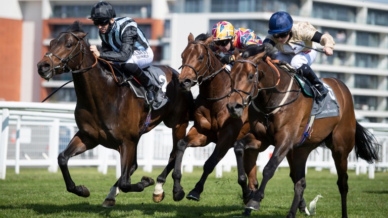 The Lir Jet (centre) finishes third in the Greenham Stakes at Newbury