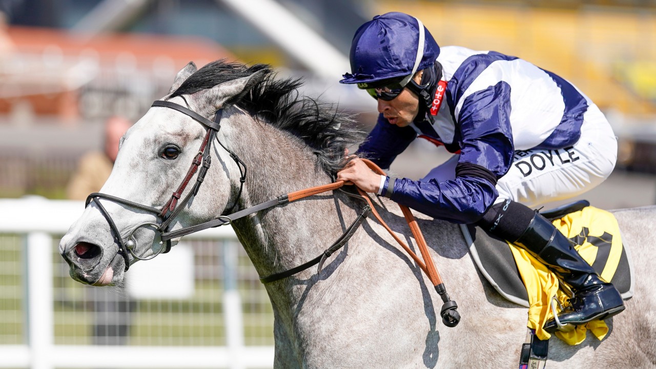 Can Highly Regarded Snow Lantern Live Up To Her Breeding And Justify Big Hype Horse Racing News Racing Post