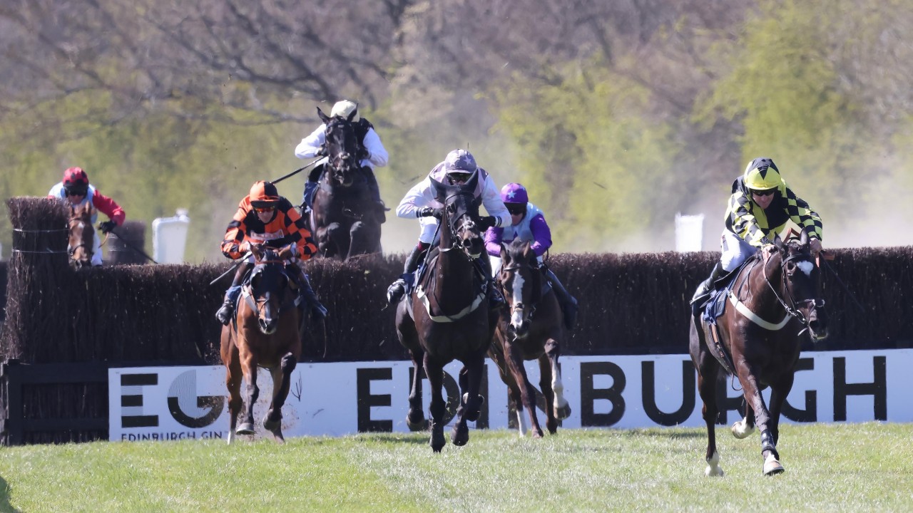 He S A Bit Of A Freak Davidson Harbouring Hopes Of Highland National Victory Horse Racing News Racing Post
