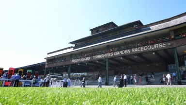 Ripon: stages a seven-race card on Saturday