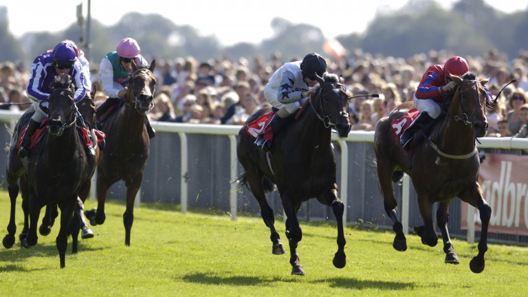 Cockney Rebel (centre, white): finishing runner-up in the Champagne Stakes at York in 2006