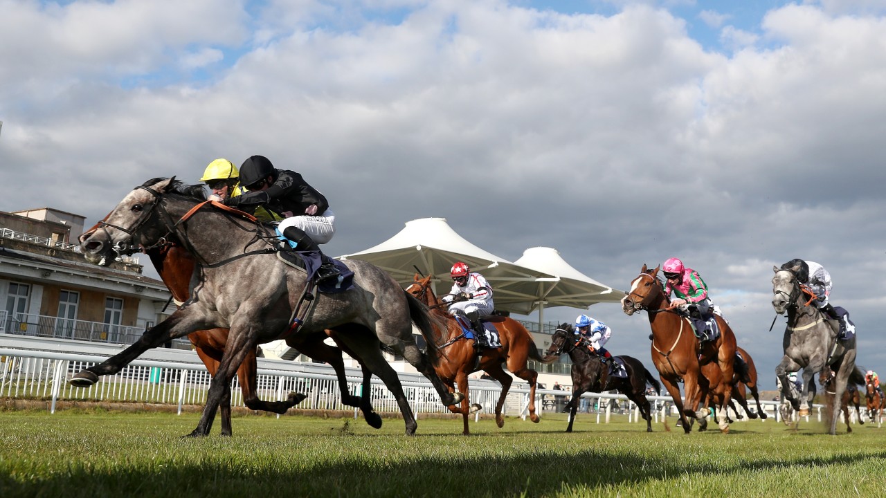 Concerns Over Ground Leads To Meeting Being Abandoned Before The Last Horse Racing News Racing Post