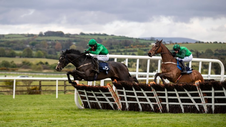 Ecos bajo la lluvia: una de las 14 entradas entrenadas por Willie Mullins en el County Hurdle