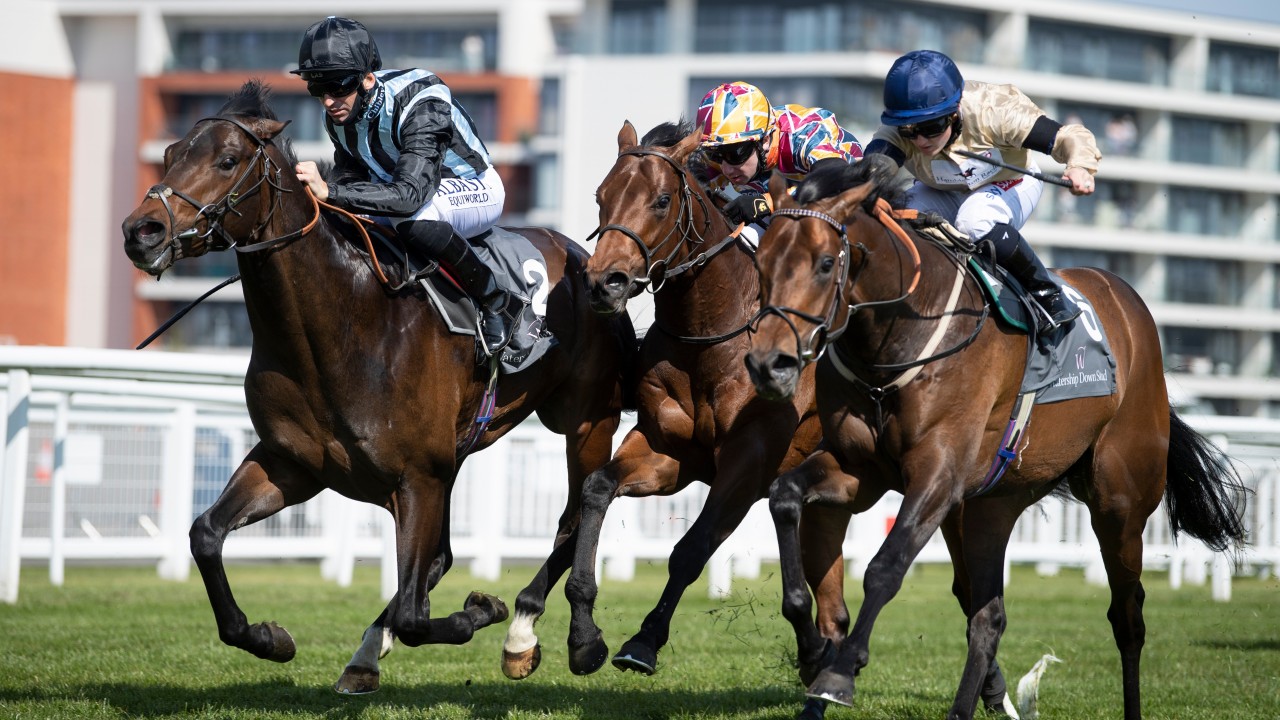 Hannon S Track Fears For Chindit And The Horse He Thinks Is The Biggest Threat Horse Racing News Racing Post