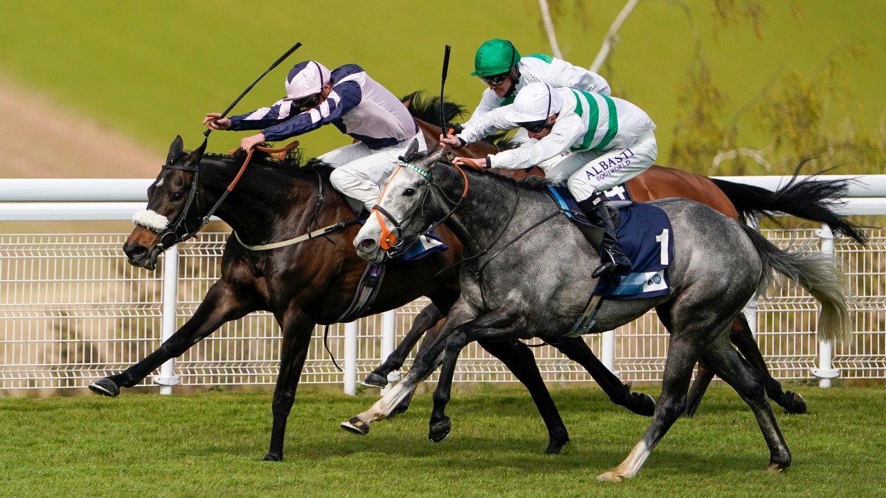 Atalanta S A Golden Boy For Relieved Tom Greatrex After First Winner Of 21 Horse Racing News Racing Post Atalanta S A Golden Boy For Relieved Tom Greatrex After First Winner Of 21 Horse Racing News Racing Post