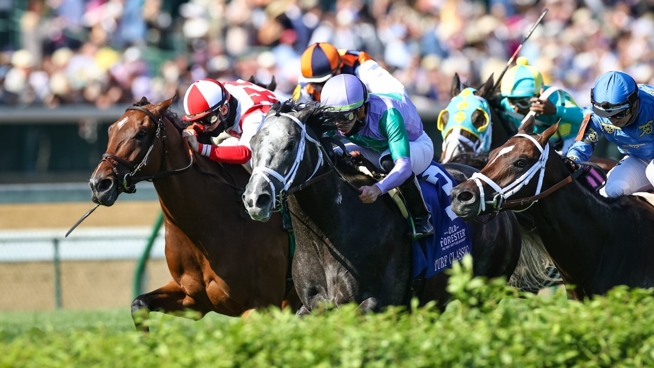 Domestic Spending provides Britishbred success with deadheat in Turf