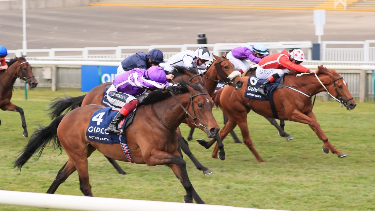 Saffron Beach To Skip Oaks And Stay At A Mile For Irish 1 000 Guineas Bid Horse Racing News Racing Post