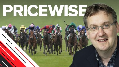 horse racing tips expert tips racing post