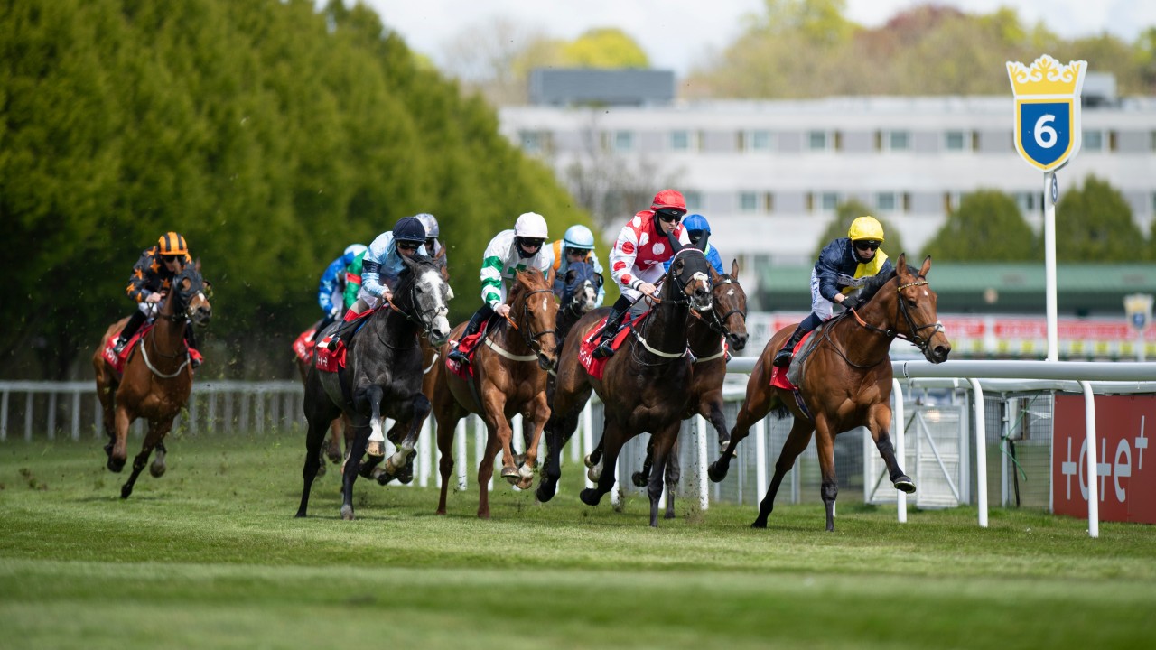 First National Racehorse Week to celebrate the sport set for September