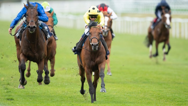Third Realm: was an impressive winner of the Derby Trial at Lingfield this month