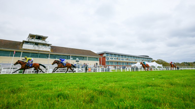 Lingfield became the fourth turf course in the space of a week to experience issues with horses slipping on the bend