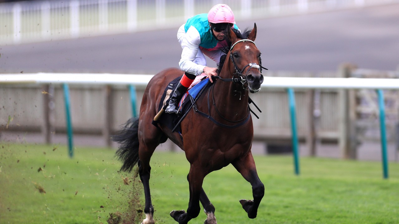 Derab And Dettori Seek To Continue British Domination Of Prix Guillaume D Ornano Horse Racing News Racing Post