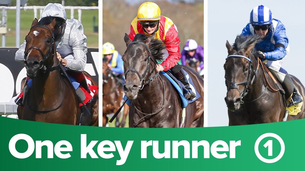 Cheltenham Itv Seven Horse Racing Racing Tips Itv Horse Races