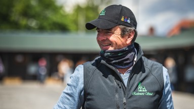 Peter Molony: "We're not too worried about the ground for Honeysuckle."