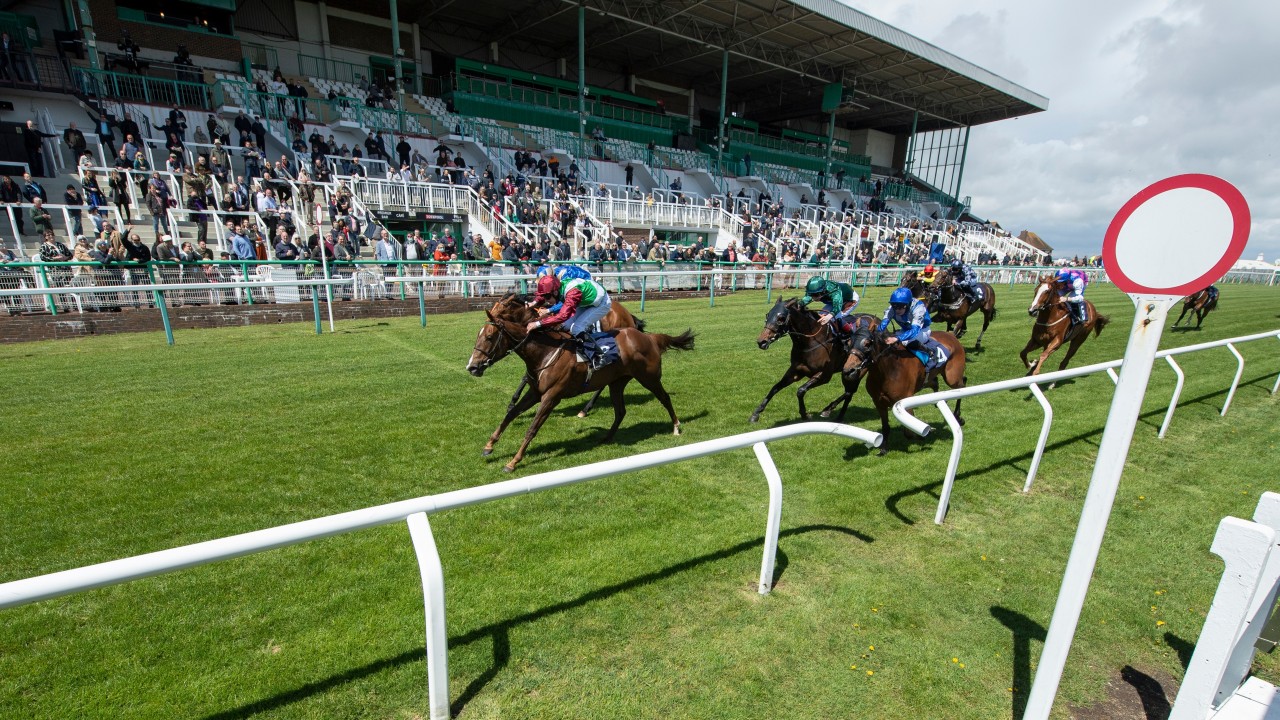 She has considerable ability' - names to note and horses for your tracker |  Horse Racing News | Racing Post