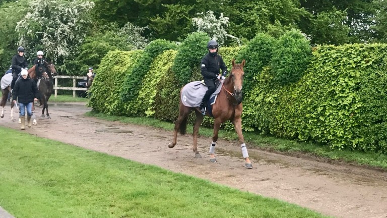 Jack Mitchell and Zeyaadah head out to work on the Limekilns