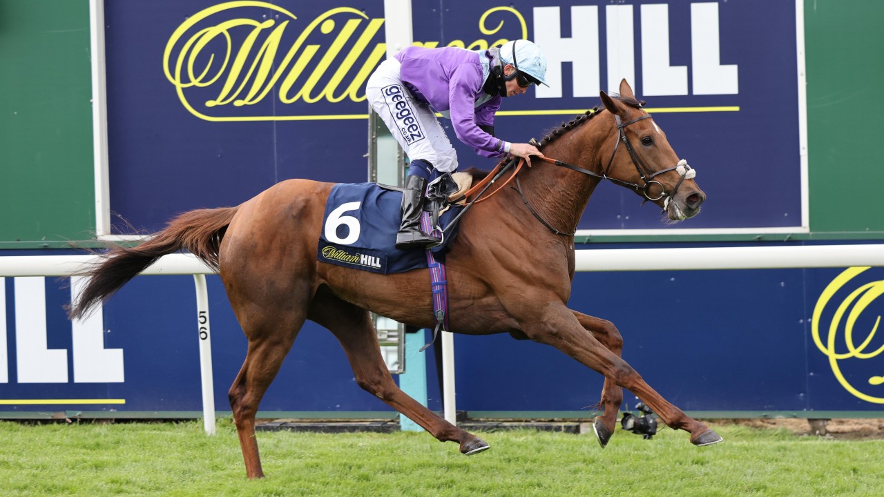 20+ Todays horse racing results william hill best strategy