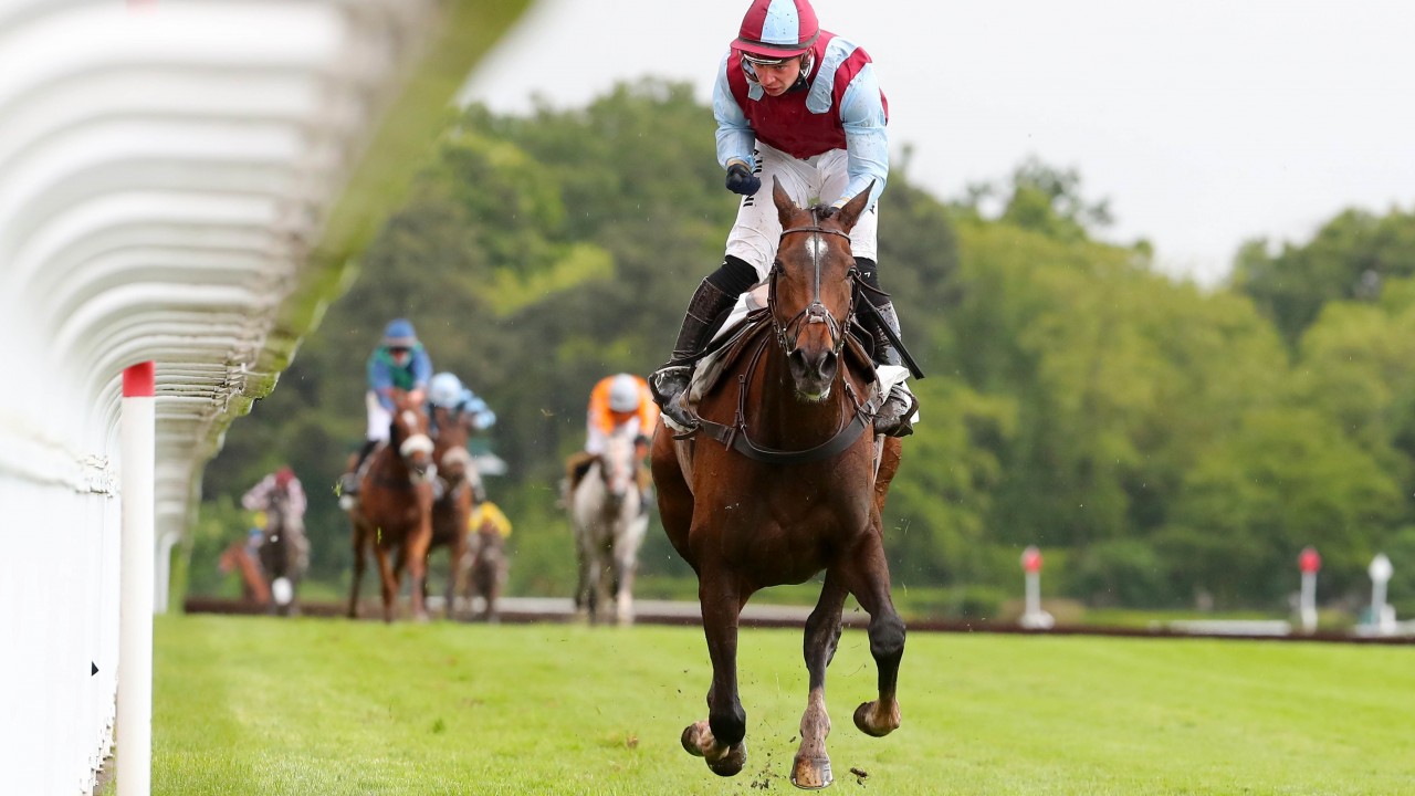 L Autonomie Blows Grand Course Field Apart As Ronald Pump Finishes Fifth Horse Racing News Racing Post