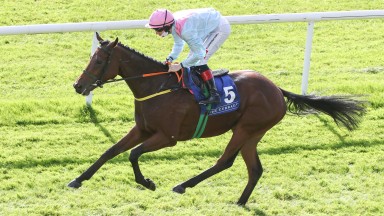 Helvic Dream: won the Tattersalls Gold Cup at the Curragh on Sunday