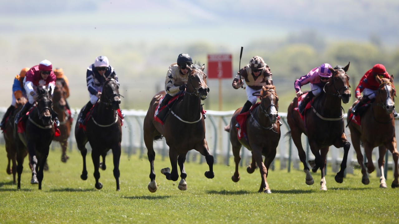 Manic Monday For Punters As 100 1 And 200 1 Shots Win Five Minutes Apart Horse Racing News Racing Post