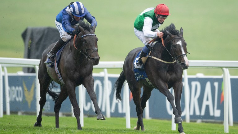 Pyledriver (Martin Dwyer, à droite) bat Al Aasy dans la Coronation Cup