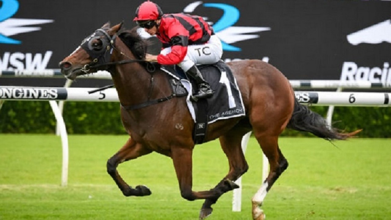 Why Frankel Investment Has Turned Out To Be Some Coup For Evergreen Stud Farm Bloodstock News Racing Post