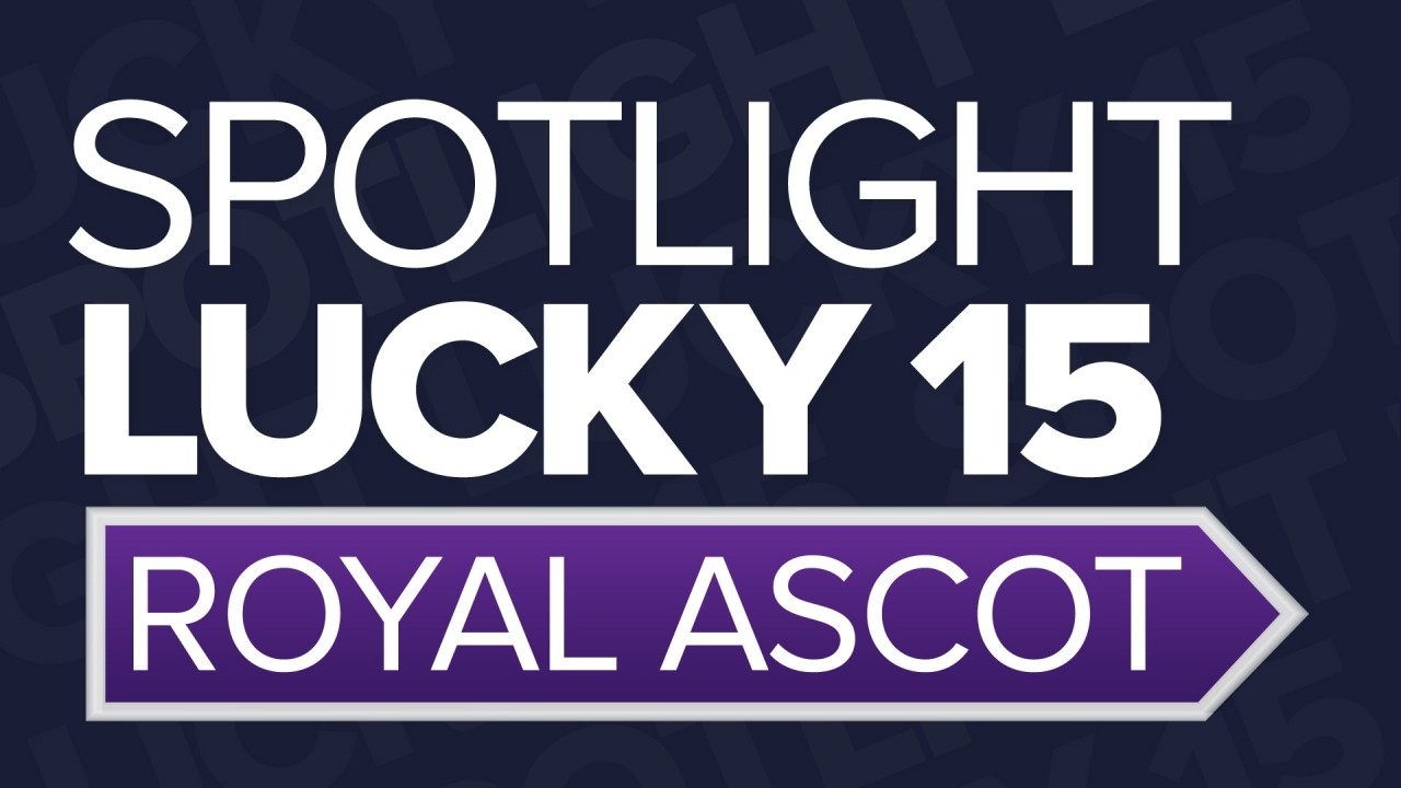 Racing post betting calculator lucky sportsbetting near me