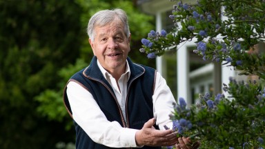 Summer bloomer: Sir Michael Stoute is hoping to extend his record haul of 81 winners at Royal Ascot