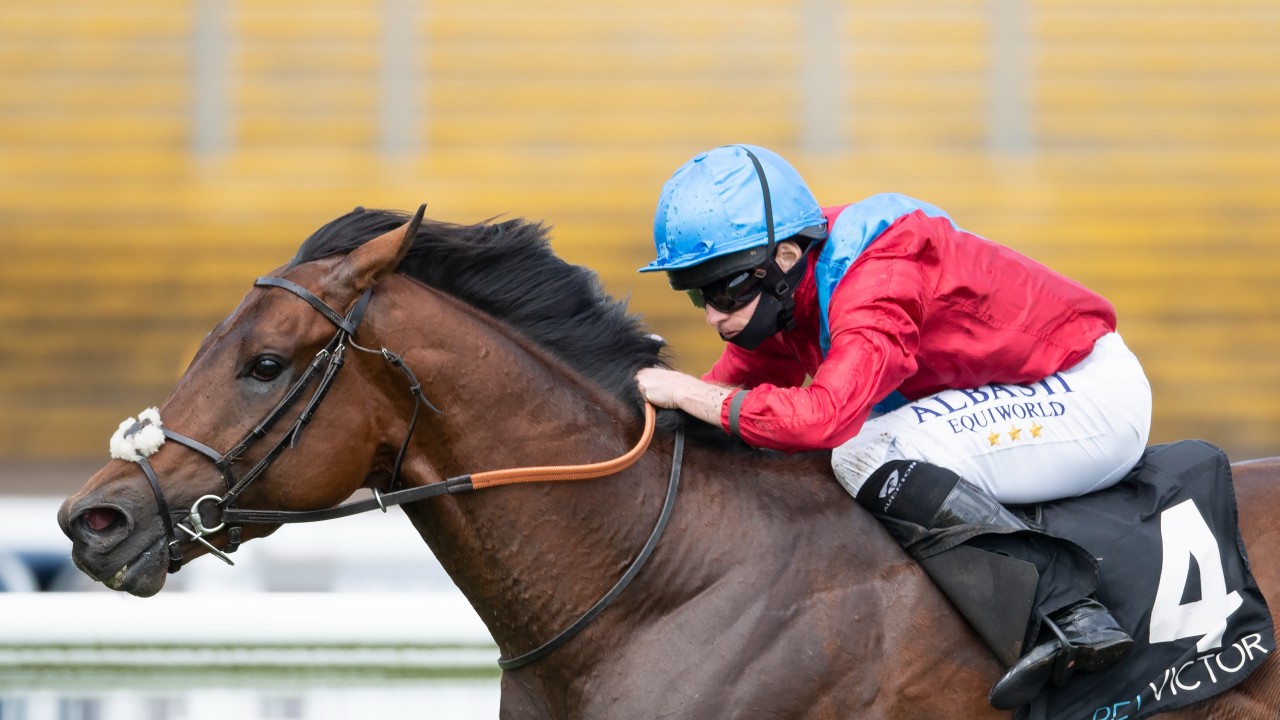 Foot Abscess Forces Royal Ascot Favourite Bay Bridge Out Of King Edward Vii Horse Racing News Racing Post Foot Abscess Forces Royal Ascot Favourite Bay Bridge Out Of King Edward Vii Horse Racing News Racing Post