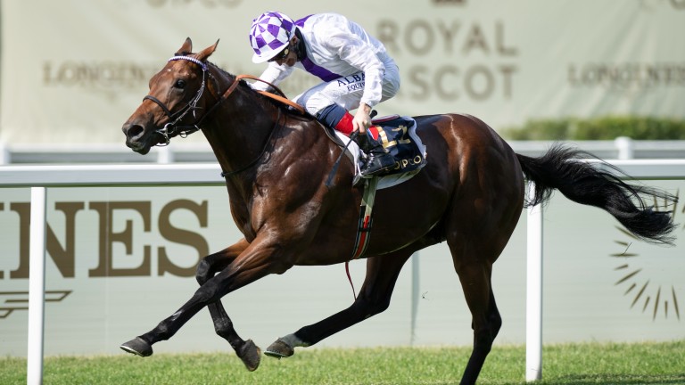 Llamarada poética: Ganador de Guinnesses 2000 y St James's Palace para Kevin Manning el año pasado