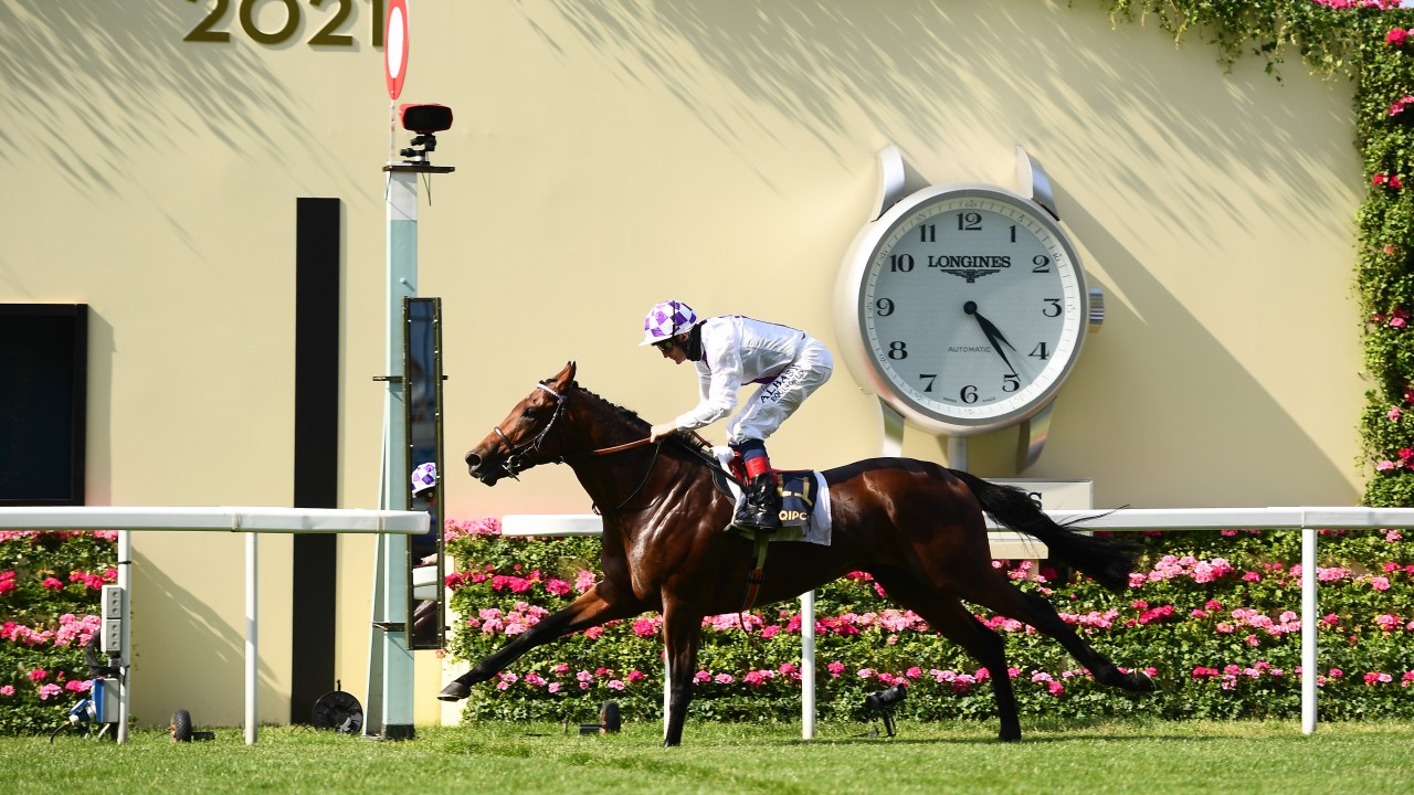 St james palace stakes bettingadvice forex changed my life