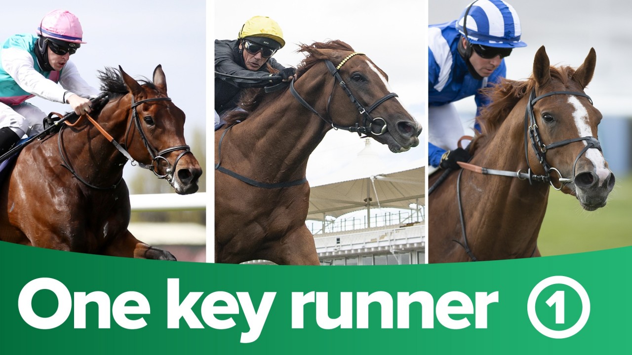 Itv Racing Tips One Key Runner From Each Race On Itv On Royal Ascot Day Three Horse Racing News Racing Post