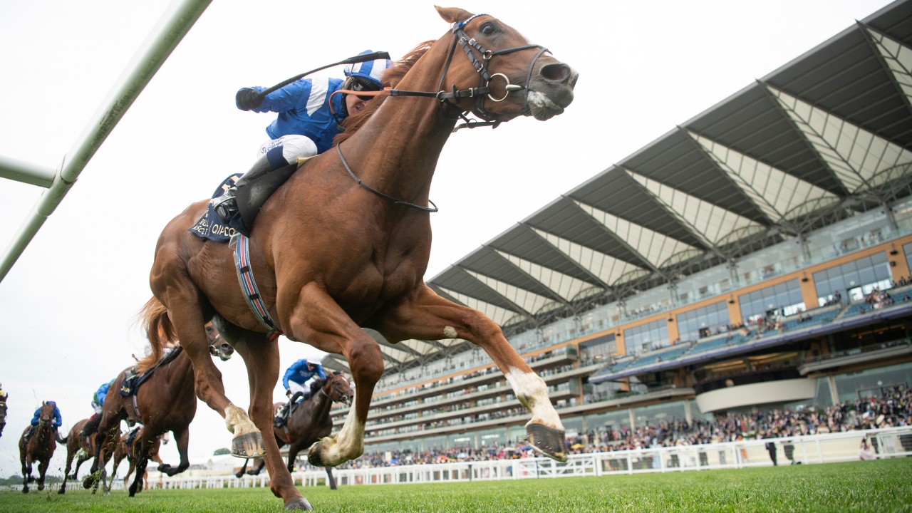 Armory Tees Up Arlington Million Tilt By Taking On Mohaafeth In Group 2 Horse Racing News Racing Post