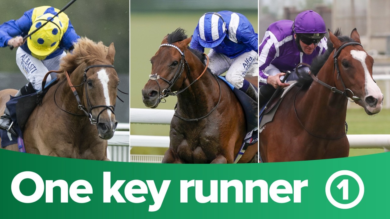Itv Racing Tips One Key Runner From Each Race On Itv On Day Five At Royal Ascot Horse Racing News Racing Post