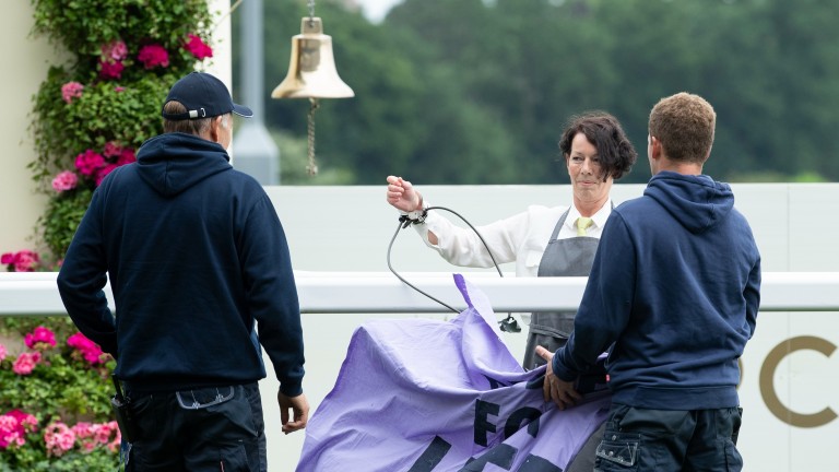 Four climate change protesters handcuffed themselves to the running rail at Royal Ascot