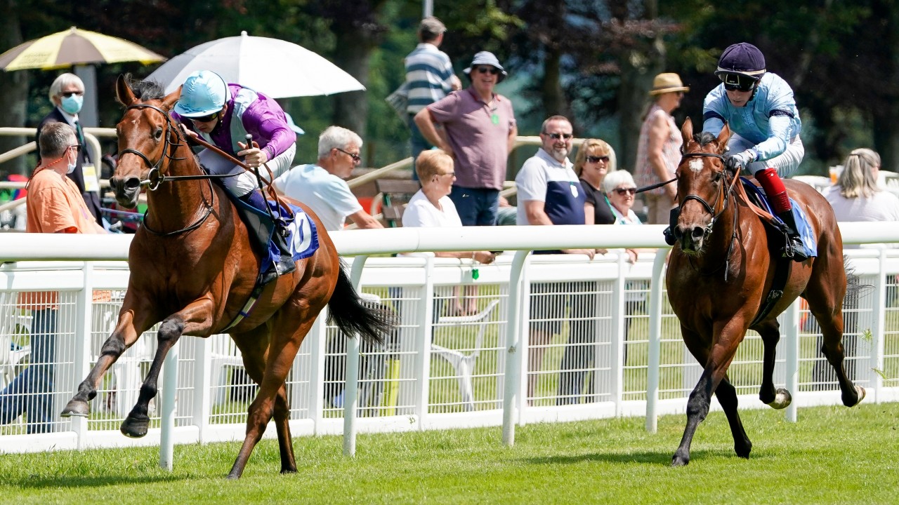 More Success For Chairman Jeff Smith As Seattle King Impresses On Debut Horse Racing News Racing Post