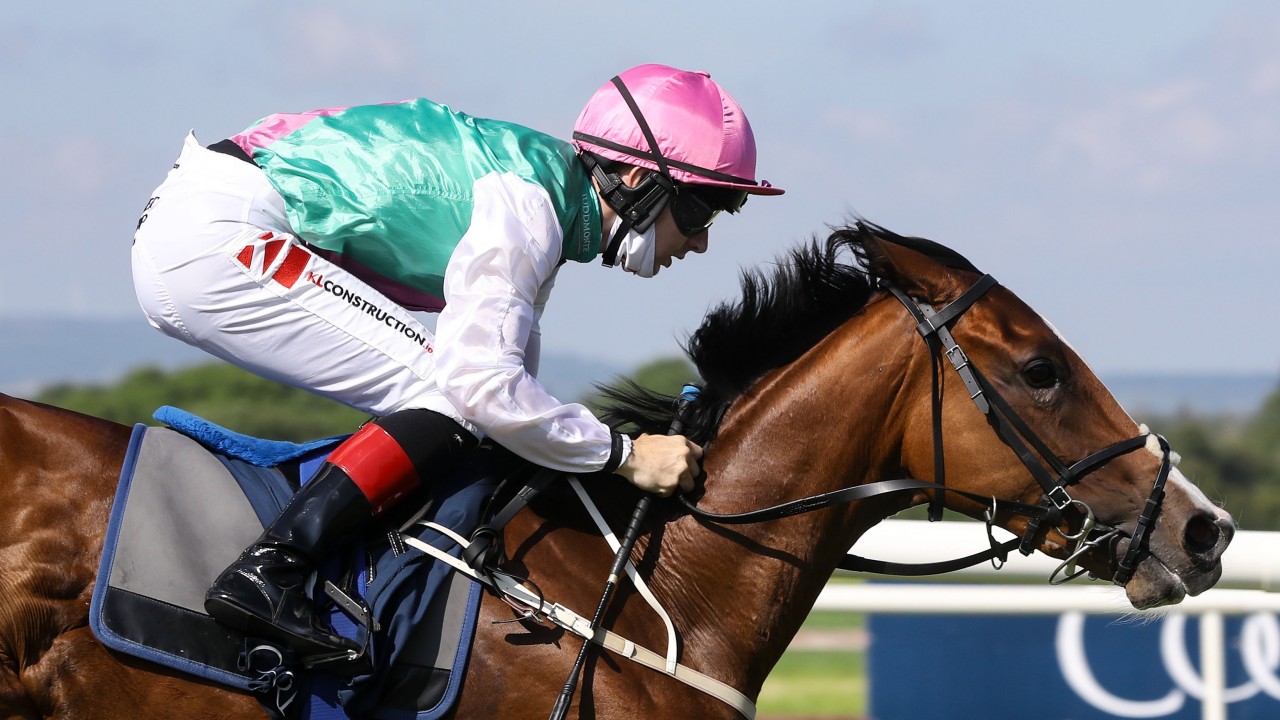 Sacred Bridge Lands Impressive Listed Victory In Race Tinged With Sadness Horse Racing News Racing Post