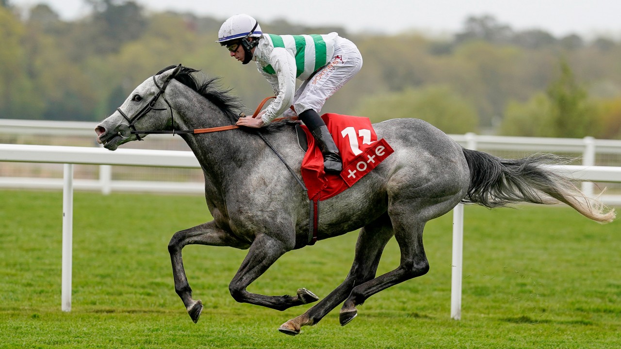 horse racing declarations today