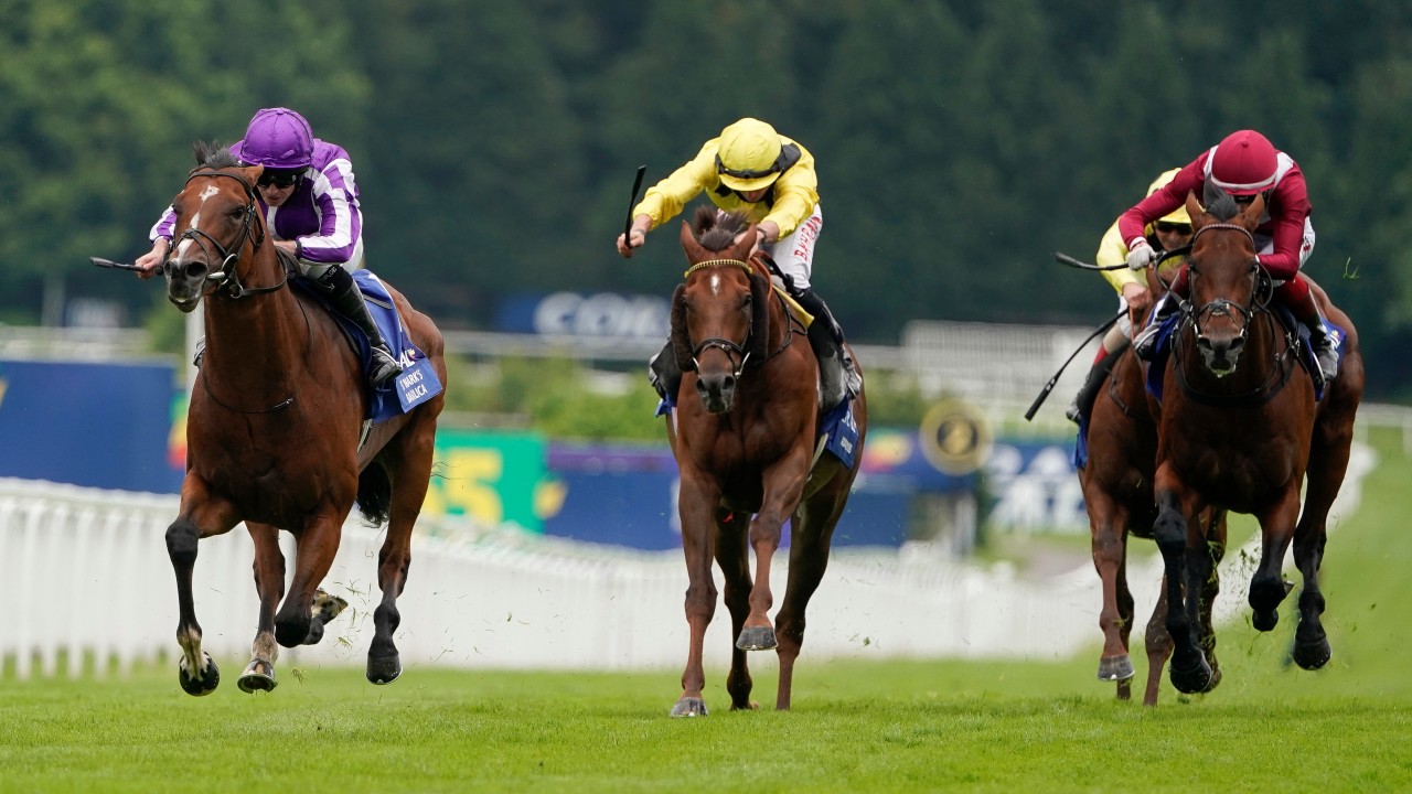 Al kazeem coral eclipse betting crypto traders tv