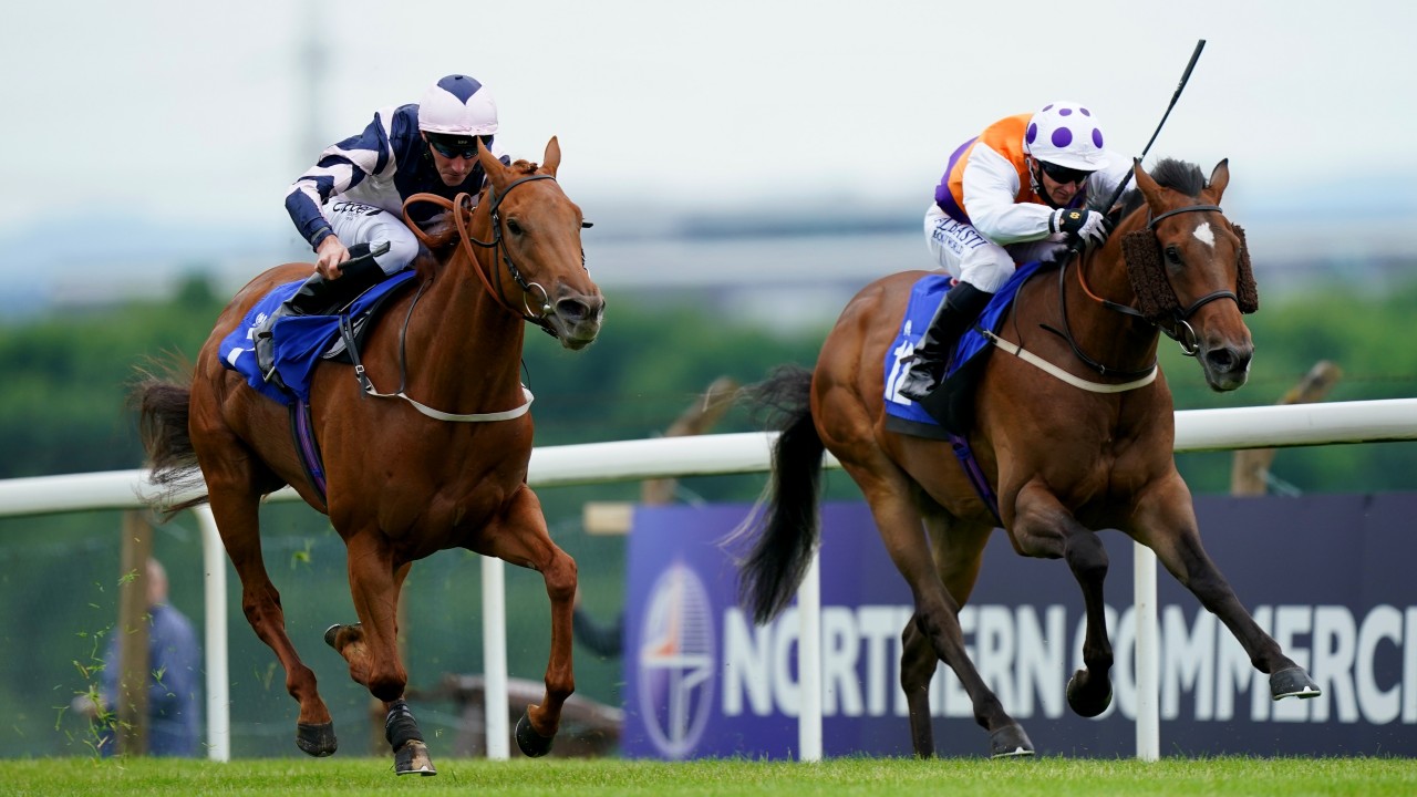 Why High Draws Are Often Favoured On Soft Ground At Catterick Horse Racing News Racing Post
