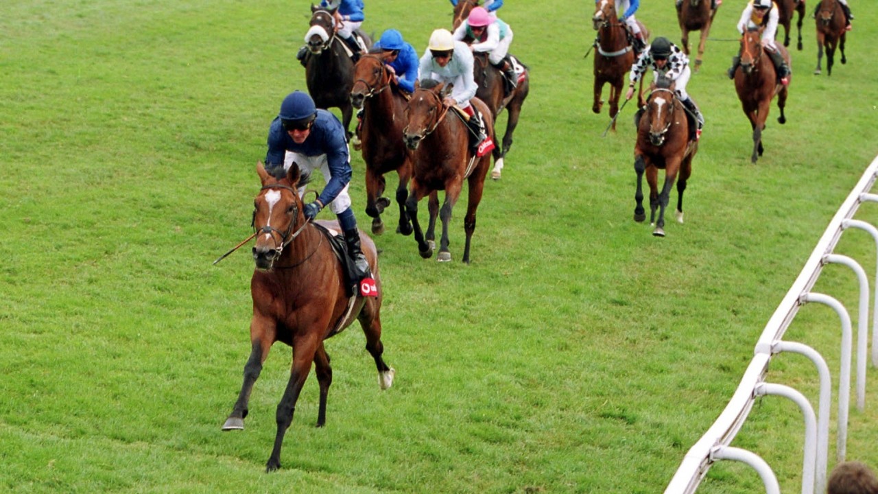 We Will Never See The Like Of Him Again Glorious Galileo Dies At 23 Horse Racing News Racing Post