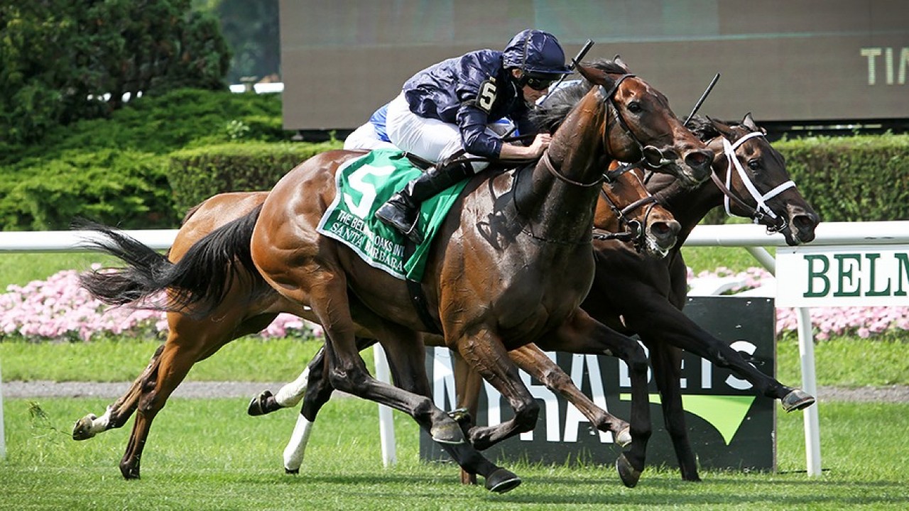 Santa Barbara Delivers In Us Again And Breeders Cup Now The Ultimate Aim Horse Racing News Racing Post