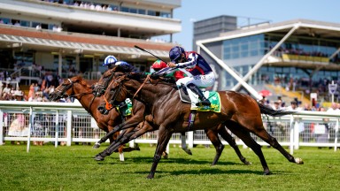 NEWBURY, ENGLAND - JULY 17: Sean Levey riding Happy Romance (dark blue cap) win The bet365 Hackwood Stakes at Newbury Racecourse on July 17, 2021 in Newbury, England. Due to the Coronavirus pandemic, only owners along with a limited number of the paying p
