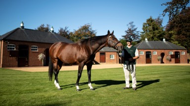 Frankel: Galileo's best son leads the British and Irish sire standings heading into a key weekend of action