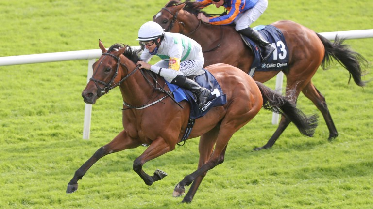 Aurora Princess pasó el poste al frente en el primer partido en el séptimo, pero debería haber competido por un hándicap más adelante en la tarjeta.