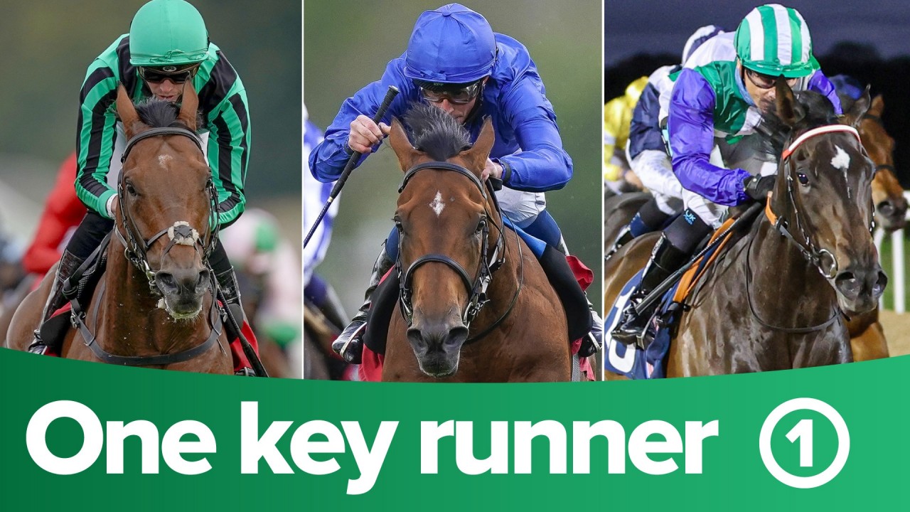 Itv Racing Tips One Key Runner From Each Race On Itv On Day Two Of Goodwood Horse Racing News Racing Post