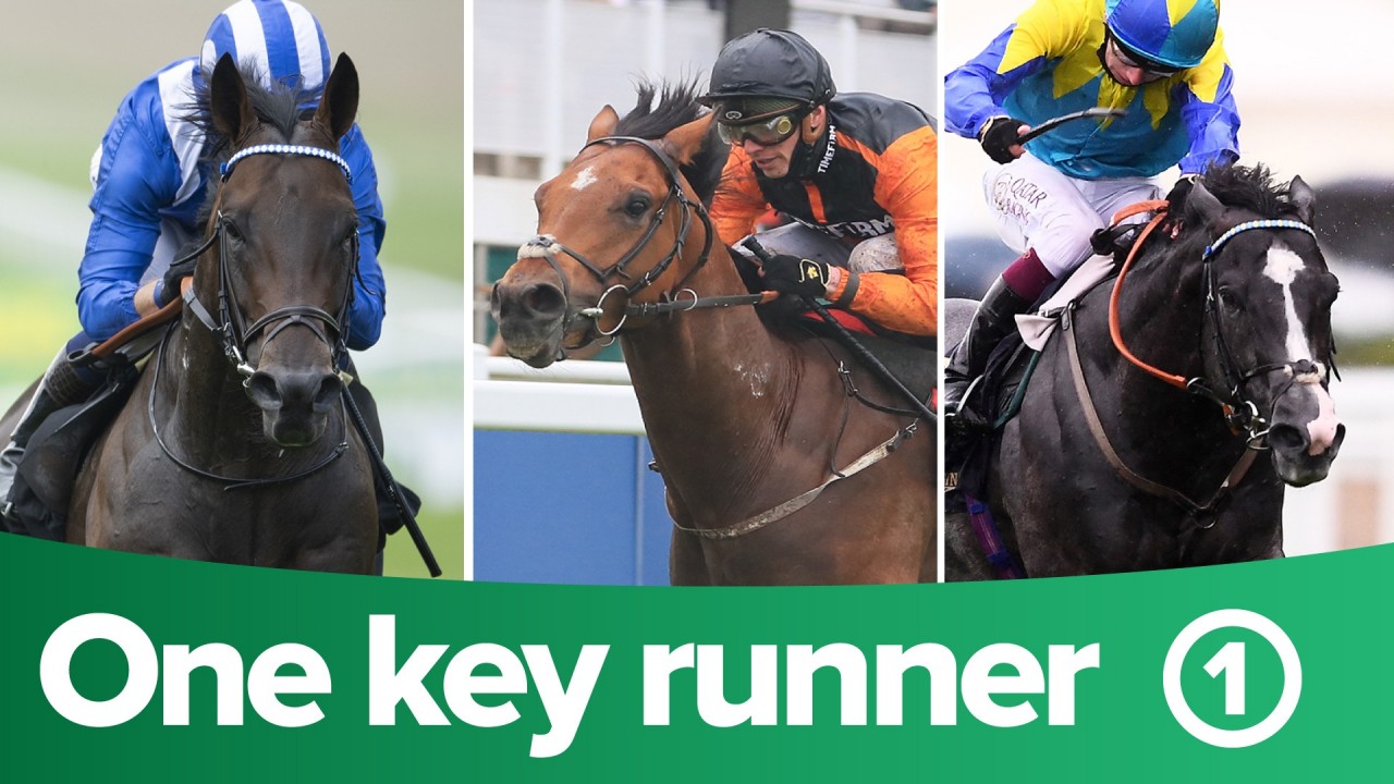 11+ Ladbrokes virtual horse racing results today best advice