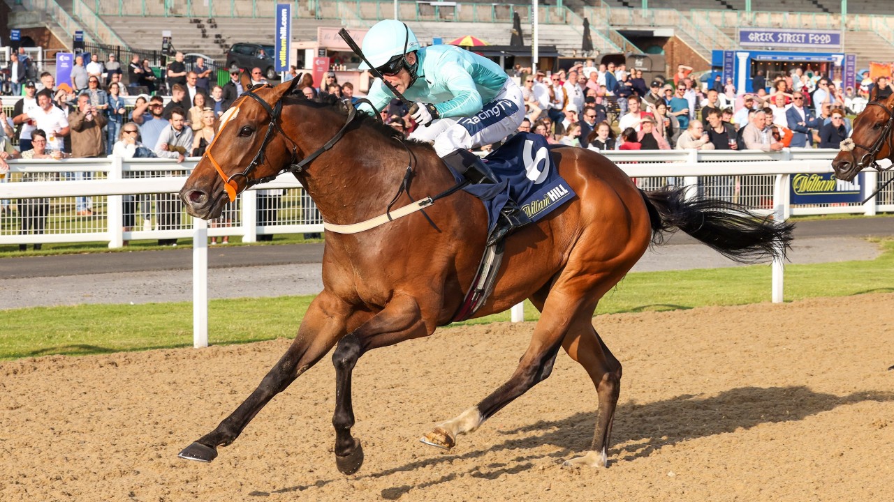 It S Like T20 Changes Promised After New 1 8 Million Series Gets Going Horse Racing News Racing Post