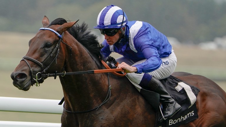 Baaeed: will end his career in either the Arc or the Champion Stakes