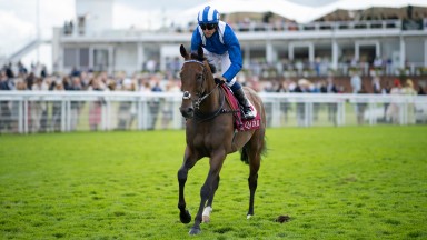 Battaash (Jim Crowley) go to post for the King George StakesGoodwood 29.7.21 Pic: Edward Whitaker